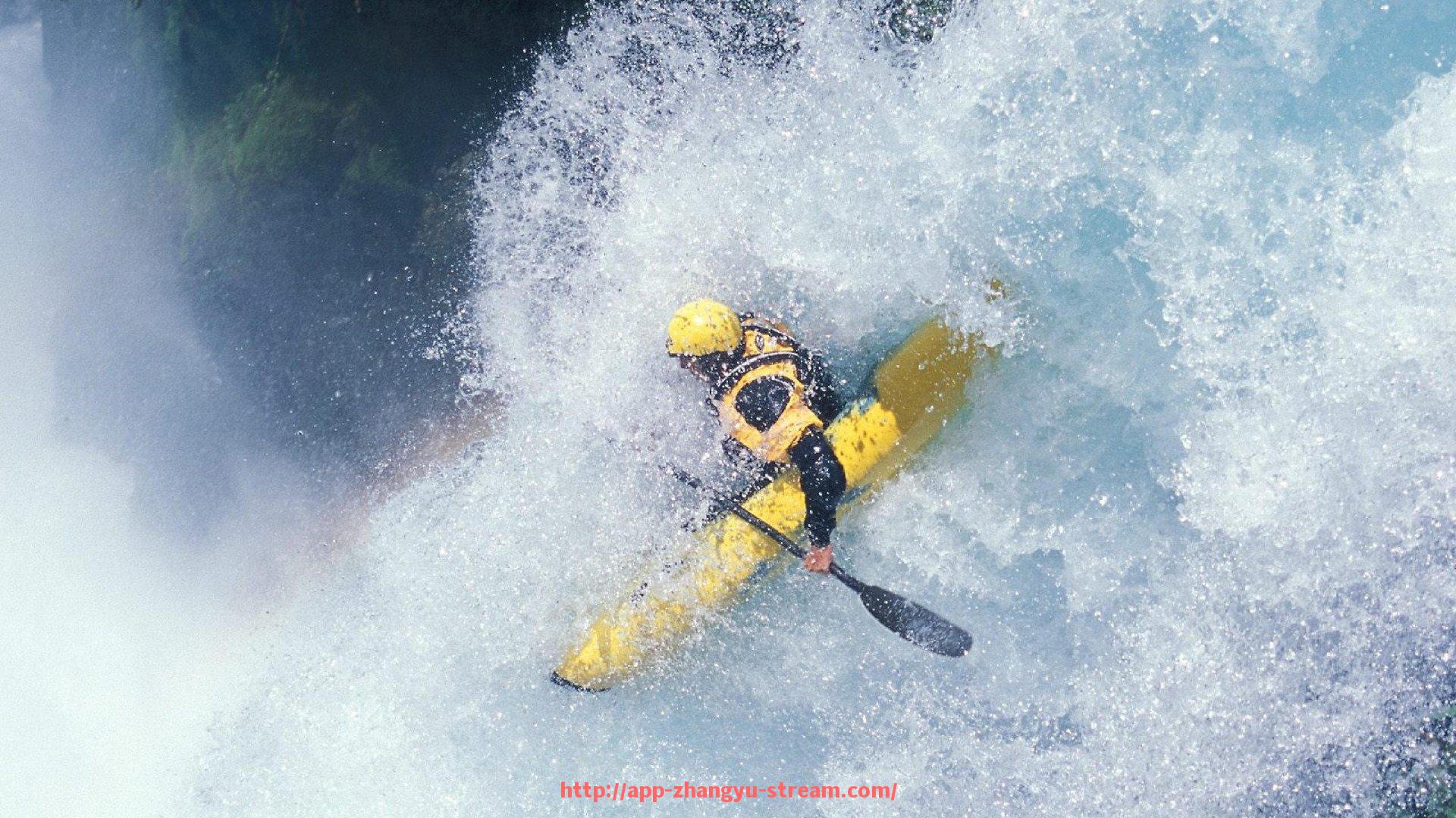 章鱼直播-德甲联赛球队收入分红机制详细解读