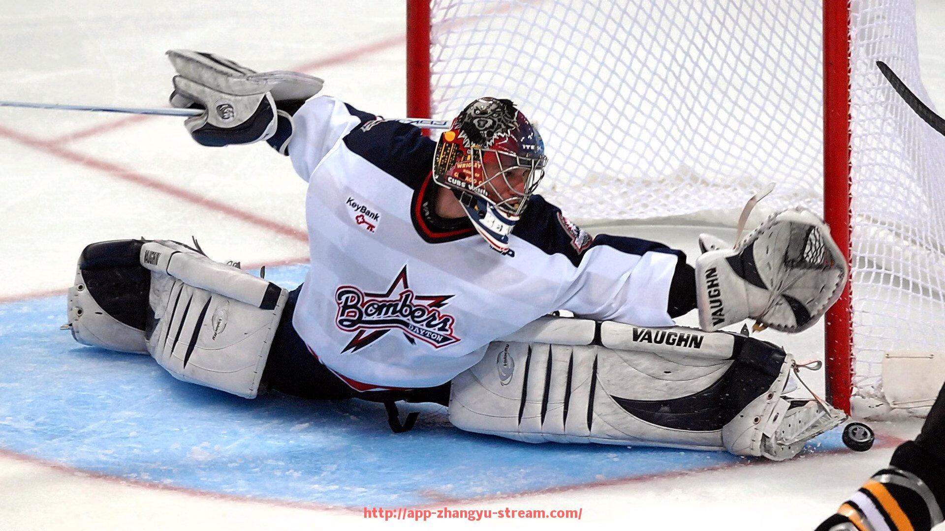 章鱼直播-英超诺维奇队的现任教练是谁?他的执教表现怎么样?(诺维奇主帅)